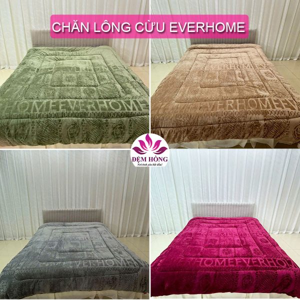 4 Mầu chăn lông cừu Everhome 2024 - 2025